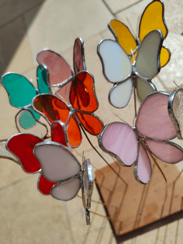 Papillon 